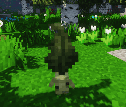 agriculture3